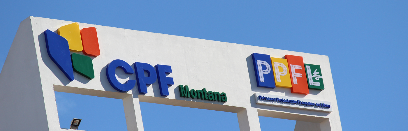 CPF 3D